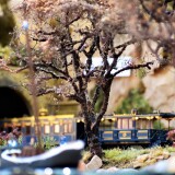 Marklin_Epoche_1_Modellbahn_Konigbayrische_Staatsbahn_H0__Ludwig-Bayern_platelet-12