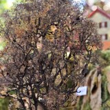 Marklin_Epoche_1_Modellbahn_Konigbayrische_Staatsbahn_H0__Ludwig-Bayern_platelet-9