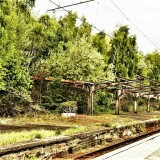 Travemunde_Bahnhof_2020_lost_places-6