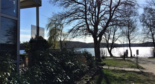 20200314 Baumbau Strukturen und Boden im Wald (100)