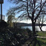 20200314-Baumbau-Strukturen-und-Boden-im-Wald-100