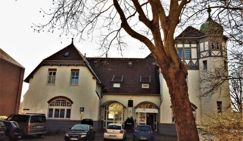 20200314 Baumbau Strukturen und Boden im Wald (97)