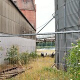 Molln_Hafen_2023_Gleise-1