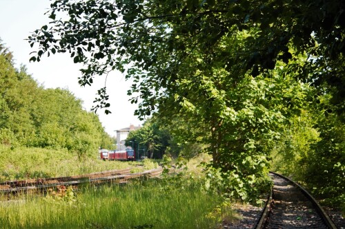 Ratzeburg Schmilau Draisinenbahn Reste Kaiserbahn 2023 b