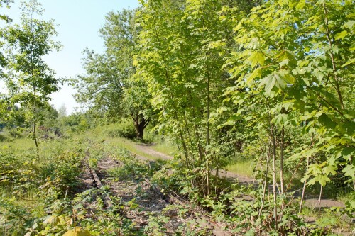 Ratzeburg Schmilau Draisinenbahn Reste Kaiserbahn 2023 c (1)