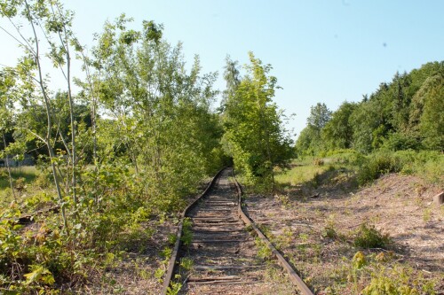 Ratzeburg Schmilau Draisinenbahn Reste Kaiserbahn 2023 c (2)
