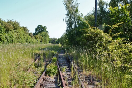 Ratzeburg Schmilau Draisinenbahn Reste Kaiserbahn 2023 d (1)