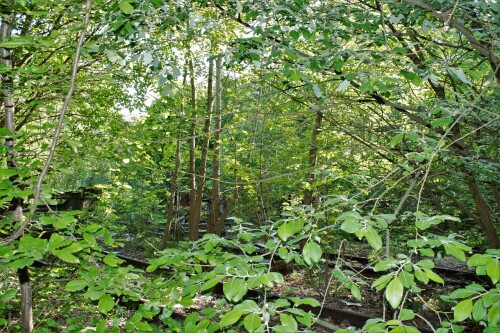 Ratzeburg Schmilau Draisinenbahn Reste Kaiserbahn 2023 d (3)