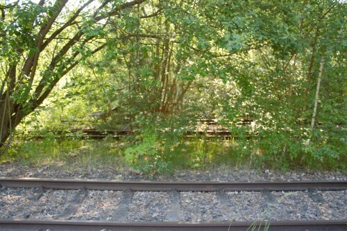 Ratzeburg Schmilau Draisinenbahn Reste Kaiserbahn 2023 d (3f)