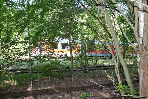 Ratzeburg Schmilau Draisinenbahn Reste Kaiserbahn 2023 e (1)