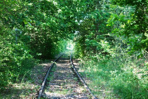 Ratzeburg Schmilau Draisinenbahn Reste Kaiserbahn 2023 z (10)