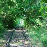 Ratzeburg-Schmilau_Draisinenbahn_Reste_Kaiserbahn_2023_z-10