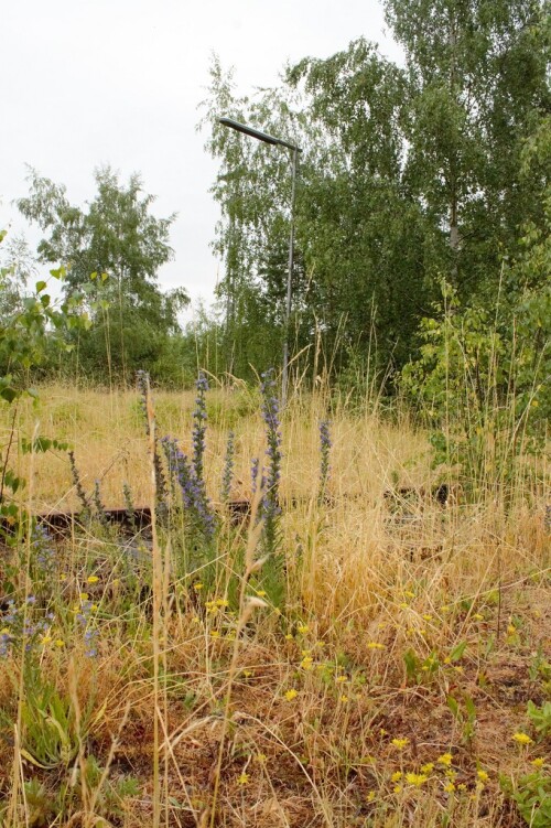 Bahnhof Büchen Gleisanlagen ehemaliger Grenzbahnhof innerdeutsche Grenze 2023 Juni (7)