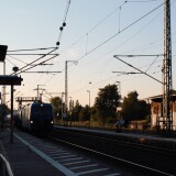 Boizenburg_Guterschuppen_Gleisvorfeld_2023_Jun-2