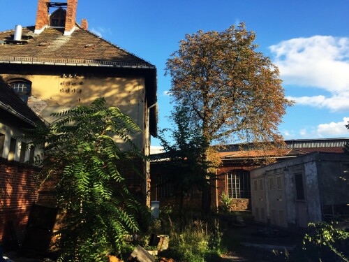 20200902 BW Schöneweide EV (54)