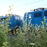 BR_151_BR_140_EGP_Doppeltraktion_Schwarzenbek_Bahnhof_2023_Sep-2