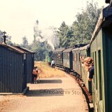 Dampflok_Nostalgiezug_Sonderzug_Strecke_Kandern-Haltingen_1973-15