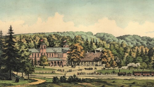Friedrichsruh Bahnhof im Sachsenwald um 1850 (1)