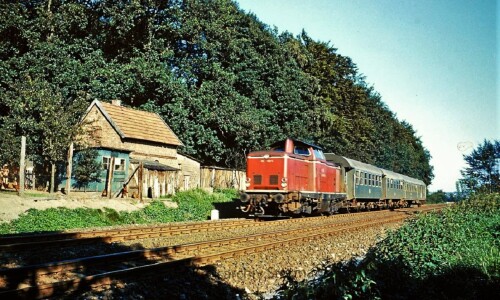 Friedrichsruh Bahnhof im Sachsenwald um 1970 Reinbek