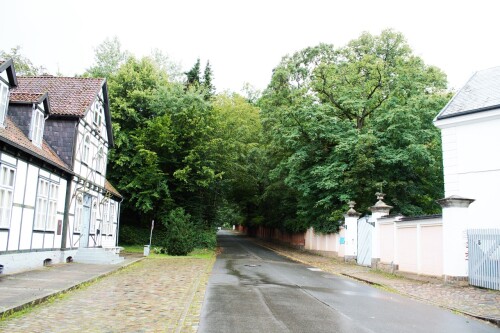 Friedrichsruh Bahnhof im Sachsenwald um 2023 Aug (9)