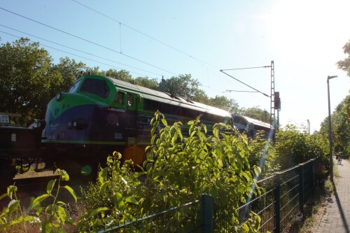 NOHAB_Altmark_Rail_Doppeltraktion_Schwarzenbek_Bahnhof_2023_Jun_NMJ_1032144-3.jpg