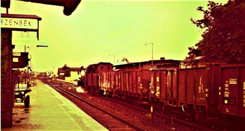 Schwarzenbek Bahnof BR 050 1965 1972 (4)