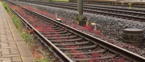 Schwarzenbek Bahnhof Unterführung Bahnsteig Signalbrücke Zweckbau (2)