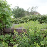 20230807-Bergedorf-Sud-Bahnhof-17