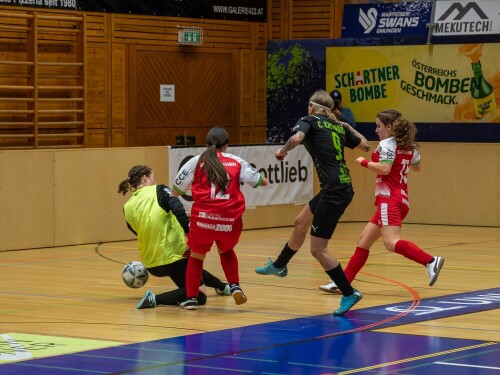 frauenhallenturnier_gmunden_2025_25-01-2025-195.jpg