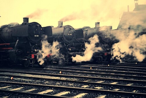 BW Rothenburgsort 1969 BR 50 055 BR 50 402