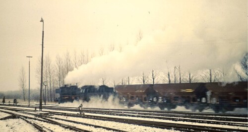 Billwerder Moorfleet 1970 Gbf Güterbahnhof BR 50 0020 winter a