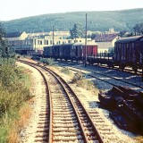 1966_Guterbahnhof_Aalen_Gbf_Strecke_Neresheim-_Hartsfeldbahn_Aalen_Neresheim_Dillingen_Gleis_in_Gleis