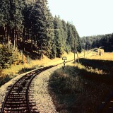 1966_Brunstholz_Zwischen_Ebnat-Elchingen_Strecke_Neresheim-_Hartsfeldbahn_Aalen_Neresheim_Dillingen