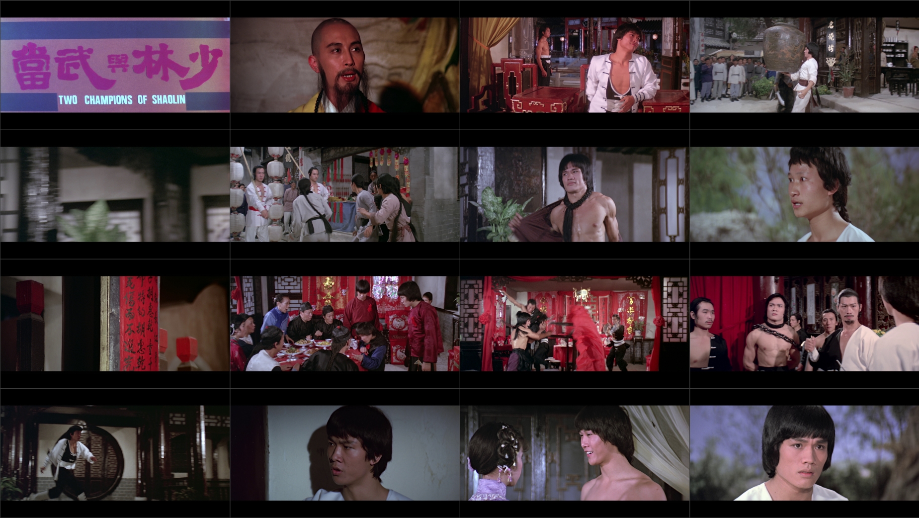Das-Grabmal-des-Shaolin-.mkv.jpg