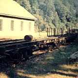 Todtnau_Bahnhof_1967_Schmalspurbahn_MEG_Guterwagen_Schmalspur_b