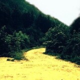 Todtnau_stillgelegte_Strecke_nach_Wiesentahl_1971b