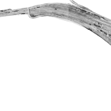 Kempten_Bahnhof_Gleisplan_GLP_1963_Luftbild_c-3