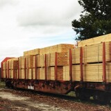 Fuchstalbahn_Asch_2020_Okt_Holzhandel-1