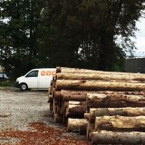 Fuchstalbahn_Asch_2020_Okt_Holzhandel-2