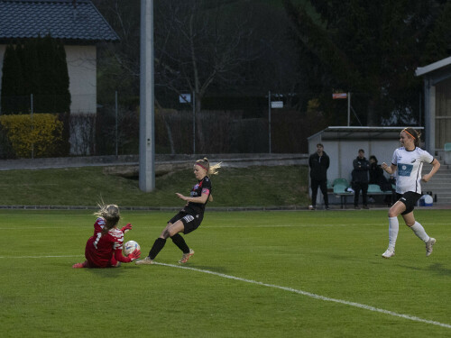 peuerbach-schweinbach_1-4_11-04-2025-028.jpg