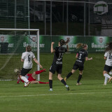 peuerbach-schweinbach_1-4_11-04-2025-091