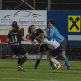 peuerbach-schweinbach_1-4_11-04-2025-114