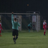 ottensheim-steyr_3-0_18-04-2025-56