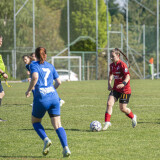 fc_perg-behamberg_5-0_27-04-2025-036