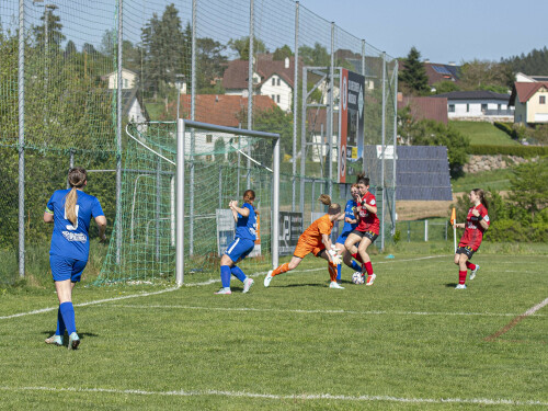 fc_perg-behamberg_5-0_27-04-2025-041.jpg