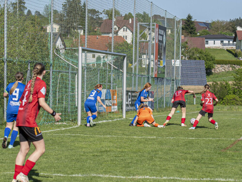 fc_perg-behamberg_5-0_27-04-2025-042.jpg