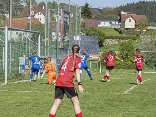 fc_perg-behamberg_5-0_27-04-2025-043.jpg
