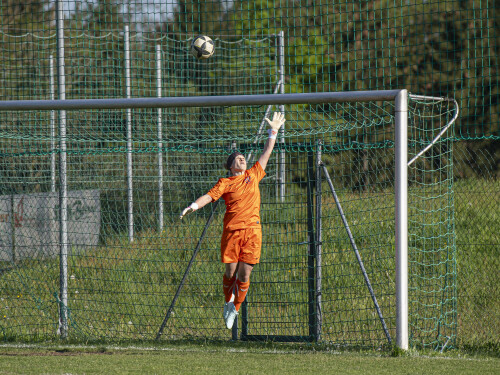 fc_perg-behamberg_5-0_27-04-2025-080.jpg