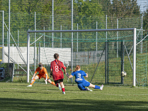 fc_perg-behamberg_5-0_27-04-2025-082.jpg