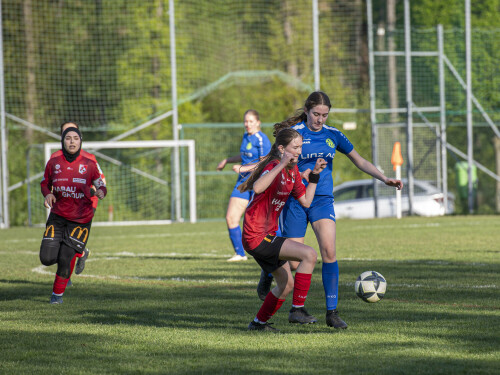 fc_perg-behamberg_5-0_27-04-2025-096.jpg
